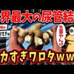 【2ch面白いスレ】全男性必見！尿管結石の痛みヤバすぎるww【ゆっくり解説】 1