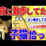 深夜に散歩してたら子猫を拾ったｗｗｗ【2ch面白いスレゆっくり解説】