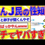 イッチ「女がイカないと妊娠しない」おんJ民の性知識レベルがこちら【2ch面白いスレゆっくり解説】