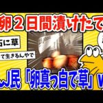 【2ch面白いスレ】2日間漬けた味付け煮卵を食うでー！→なんJ民「卵真っ白で草」www