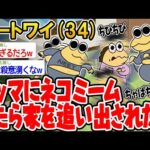 【バカ】マッマにネコミームしたら家を追い出されたwww【2ch面白いスレ】