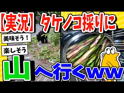 【2ch面白いスレ】タケノコ採りに山へ行くwww