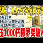 【2ch面白いスレ】【悲報】キャベツさんが異常高騰、1玉1000円限界突破ｗｗｗｗｗｗｗｗｗ　聞き流し/2ch天国