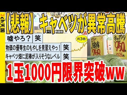 【2ch面白いスレ】【悲報】キャベツさんが異常高騰、1玉1000円限界突破ｗｗｗｗｗｗｗｗｗ　聞き流し/2ch天国