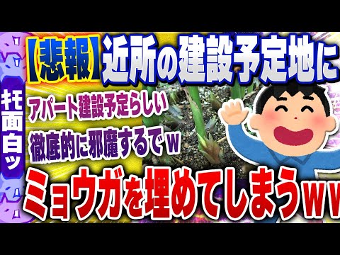 【ｷﾓ面白い2chスレ】【悲報】ワイ、近所の建設予定の土地にミョウガを埋めてしまうｗｗｗｗ【ゆっくり解説】