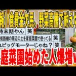 【2ch面白いスレ】【悲報】食費金欠民、野菜高騰で耐え切れず家庭菜園始めた人爆増ｗｗｗｗｗｗｗｗｗ　聞き流し/2ch天国