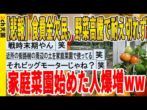 【2ch面白いスレ】【悲報】食費金欠民、野菜高騰で耐え切れず家庭菜園始めた人爆増ｗｗｗｗｗｗｗｗｗ　聞き流し/2ch天国