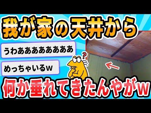 【2ch面白いスレ】大切な我が家の屋根裏が大変な事になってた件ｗｗｗｗｗｗｗ