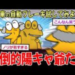 【陽キャ】👴「車の自動ブレーキ機能を試してみよ！ｗ」友「ええな！」→友人2人をはね、逮捕【2chまとめ】