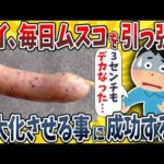 【2ch面白いスレ】ワイ、毎日ムスコを引っ張り続けたらめちゃめちゃデカくなってしまったwwww【ゆっくり解説】