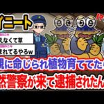 【悲報】ワイ「この葉っぱなんなんや…？」→結果wwwwwwwwwwwww【2ch面白いスレ】