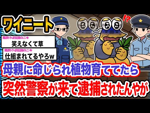 【悲報】ワイ「この葉っぱなんなんや…？」→結果wwwwwwwwwwwww【2ch面白いスレ】