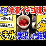 【2ch面白いスレ】1kg冷凍イチゴ購入！かき氷作るやで～ｗｗｗ