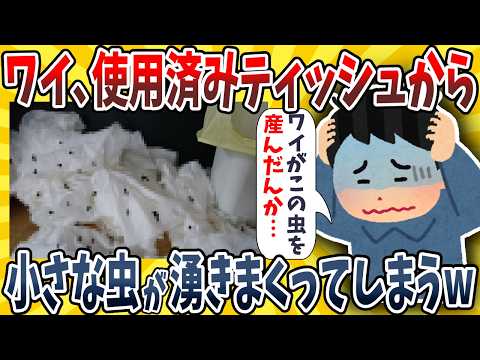 【2ch面白いスレ】ワイ、使用済みティッシュから小さな虫が誕生しまくってしまうwwww【ゆっくり解説】