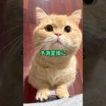 【2ch面白いスレ】なんJ民、とんでもない変換ミスをする②