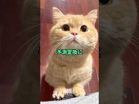 【2ch面白いスレ】なんJ民、とんでもない変換ミスをする②