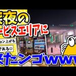 【2ch面白いスレ】深夜のサービスエリアきたンゴwww