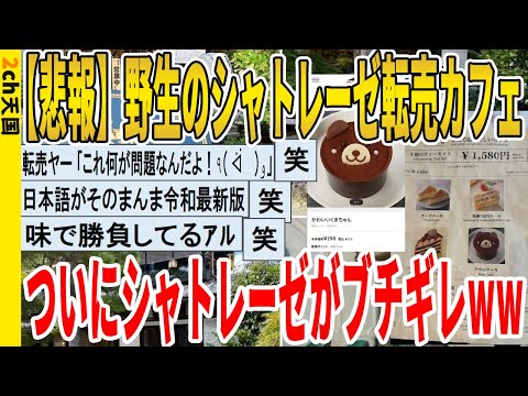 【2ch面白いスレ】【悲報】野生のシャトレーゼ転売カフェ、ついにシャトレーゼがブチギレｗｗｗｗｗｗｗｗｗｗｗ　聞き流し/2ch天国