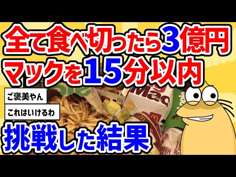 【2ch面白いスレ】この量のマックを15分以内に全て食べ切ったら3億円チキンマックナゲットって全部で4種類って本当なの？完全再現してる人もいたね。次は100個早食いチャレンジ！【2chスレ ゆっくり】