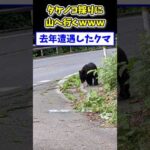 【2ch面白いスレ】タケノコ採りに山へ行くwww