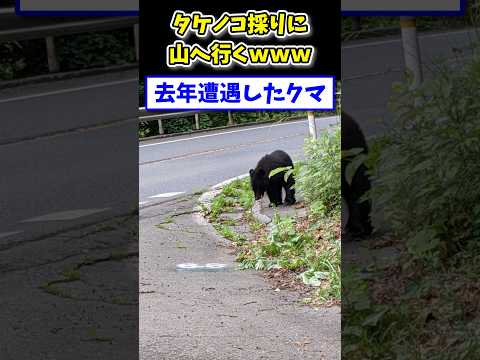 【2ch面白いスレ】タケノコ採りに山へ行くwww