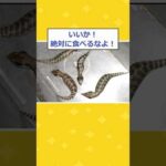 【2ch面白いスレ】庭に変な生き物がいたから捕まえた結果wwww #2ch #2chスレ #面白い #shorts