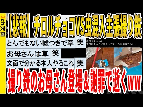 【2ch面白いスレ】【悲報】チロルチョコVS虫混入主張撮り鉄、撮り鉄のお母さん登場＆謝罪で逝くｗｗｗｗｗｗｗｗｗｗｗ　聞き流し/2ch天国