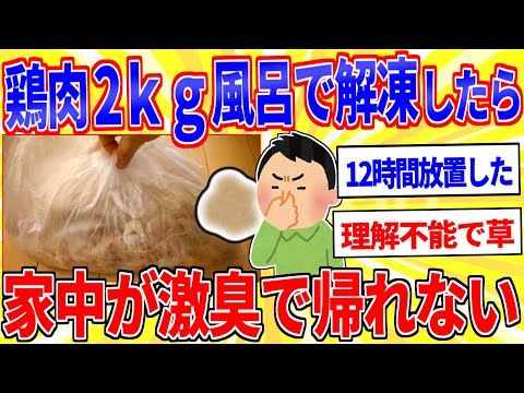 鶏肉2kgを風呂で解凍したら家中が激臭になったｗｗｗ【2ch面白いスレゆっくり解説】