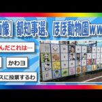 【2chまとめ】都知事選、ほぼ動物園【ゆっくり】