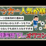 【2chまとめ】【悲報】サッカーの人気が崩壊　視聴率低下しオワコン化【ゆっくり実況】