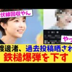 渡邊渚、過去投稿晒され鉄槌爆弾を下す【2chまとめ】【2chスレ】【5chスレ】